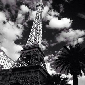 Meet your Posher, Frida